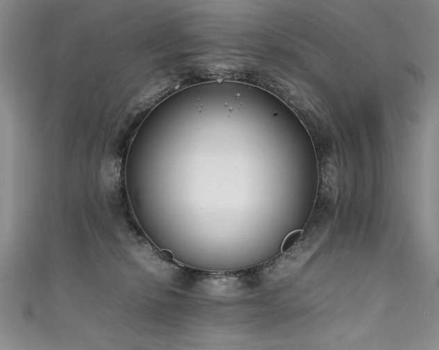 X0000111430278200907131229