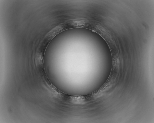 X0000111430281200907131229