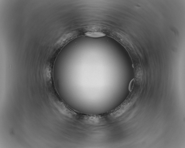 X0000111430282200907131229