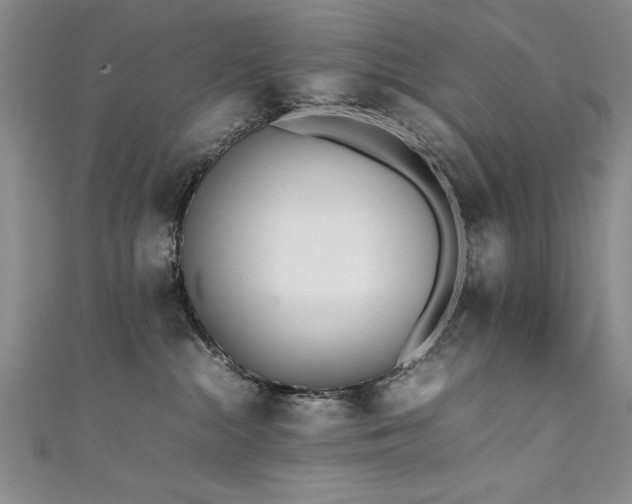 X0000111430284200907131229