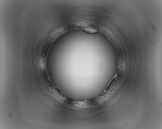 X0000111430285200907131229