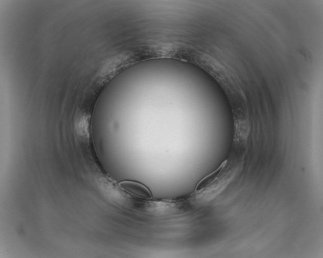 X0000111430286200907131229