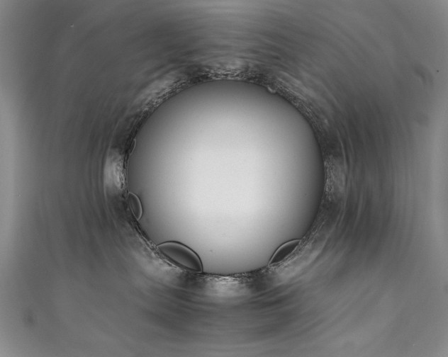 X0000111430287200907131229