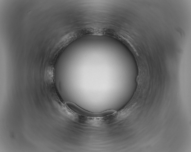 X0000111430288200907131229