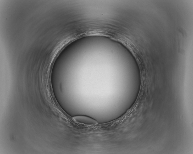 X0000111430289200907131229