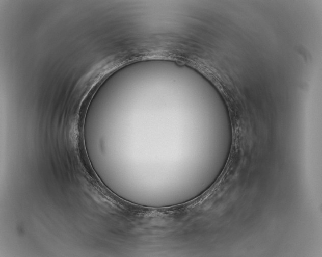 X0000111430290200907131229