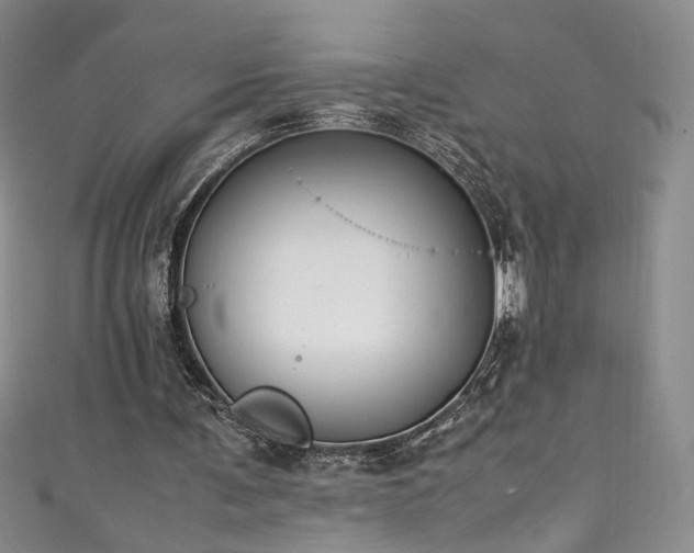 X0000111430291200907131229