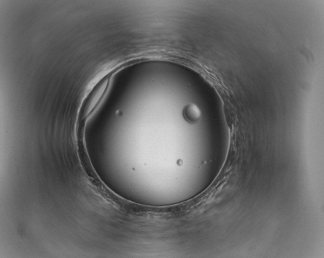 X0000111430292200907131229