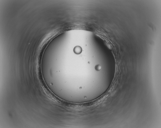 X0000111430293200907131229