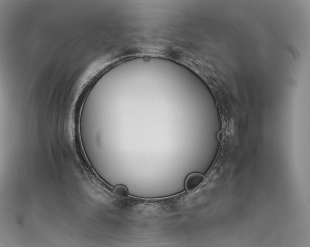 X0000111430294200907131229