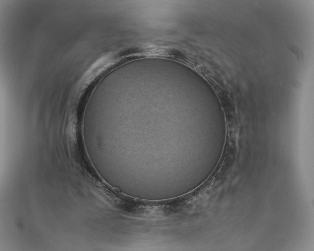 X0000111430295200907131229