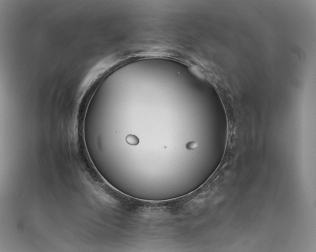 X0000111430296200907131229