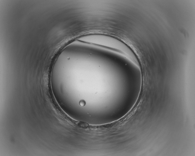 X0000111430297200907131229