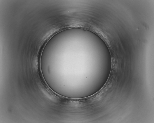 X0000111430298200907131229