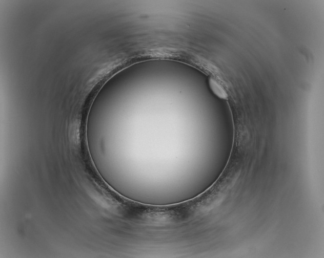 X0000111430299200907131229