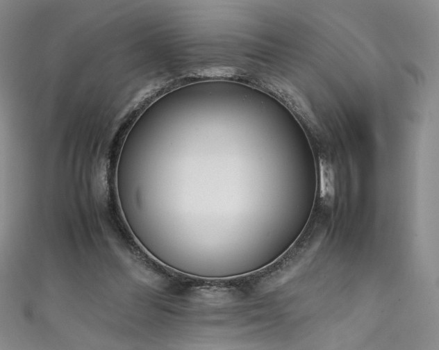 X0000111430300200907131229