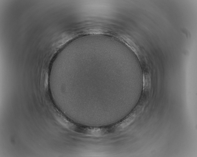 X0000111430301200907131229