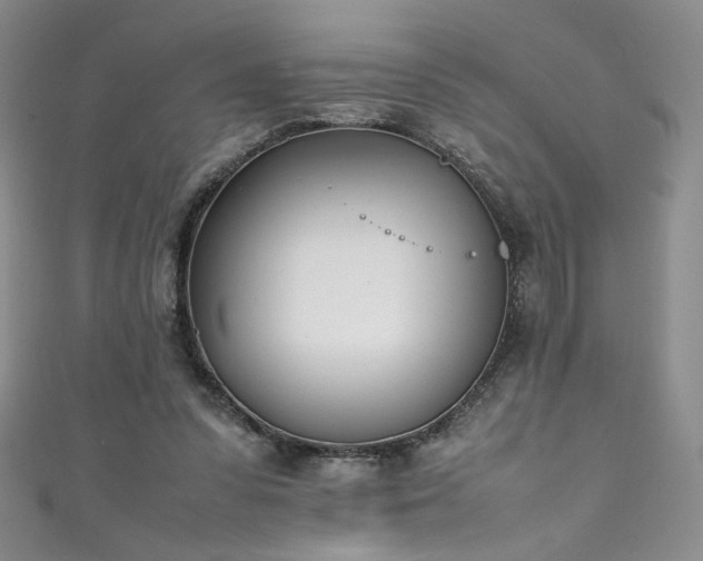 X0000111430303200907131229