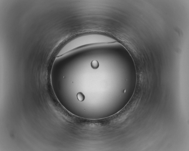 X0000111430304200907131229