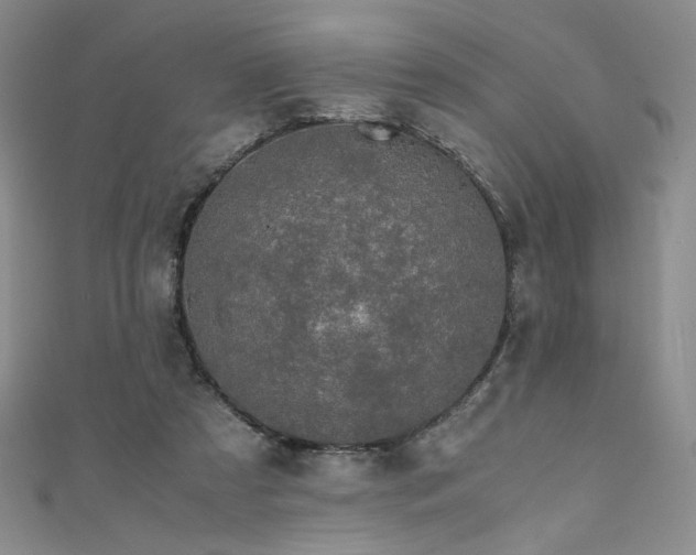 X0000111430305200907131229