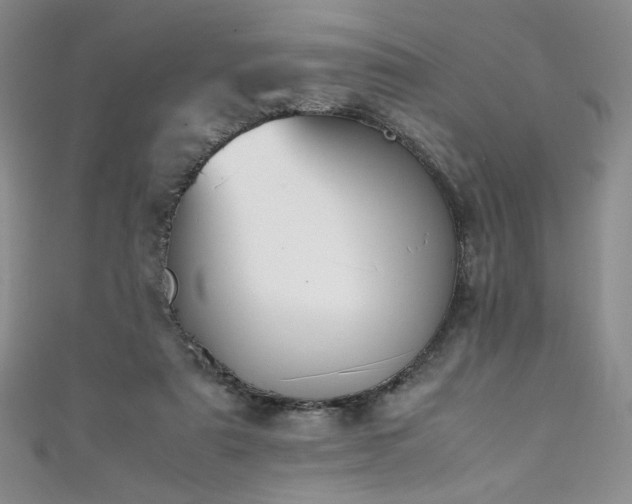 X0000111430307200907131229