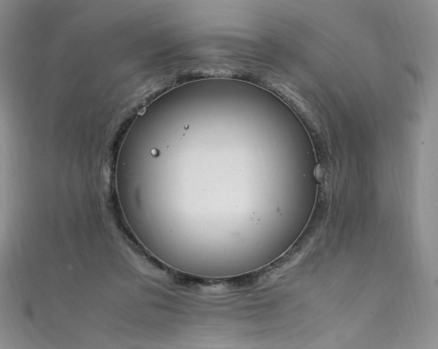 X0000111430309200907131229