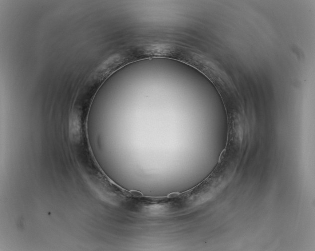 X0000111430312200907131229