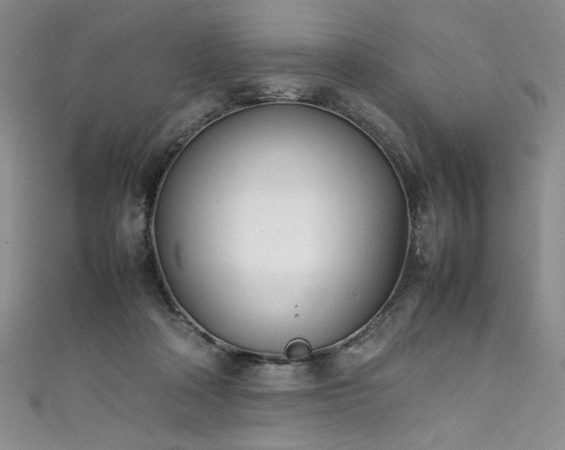 X0000111430314200907131229