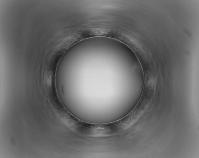 X0000111430315200907131229