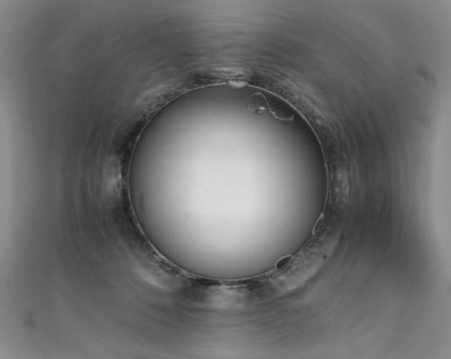 X0000111430320200907131228