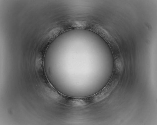 X0000111430322200907131228