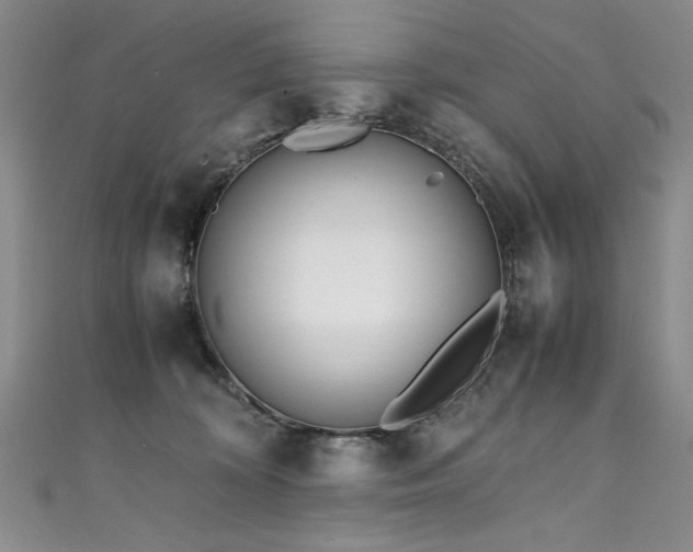 X0000111430324200907131228