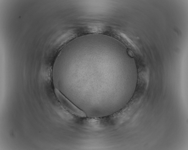 X0000111430325200907131228