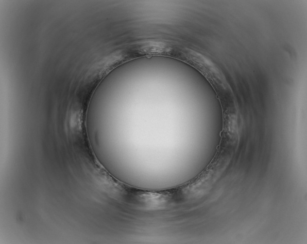 X0000111430326200907131228