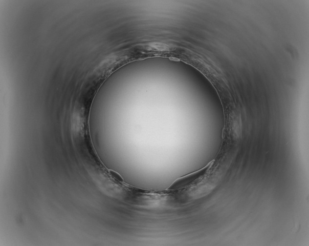 X0000111430328200907131228