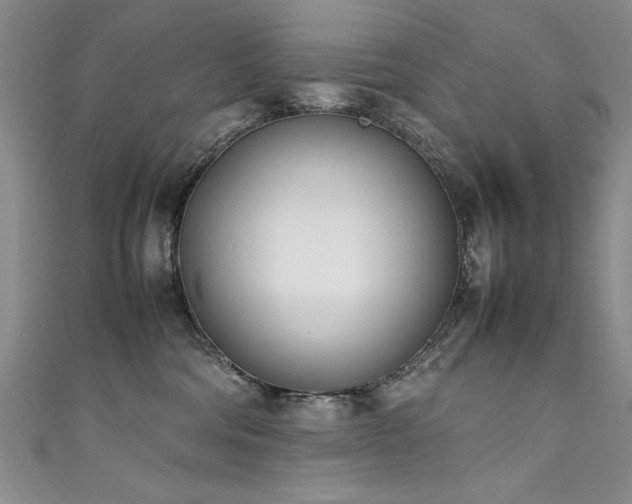 X0000111430330200907131228