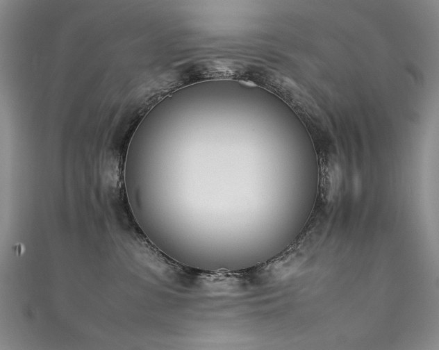 X0000111430331200907131228