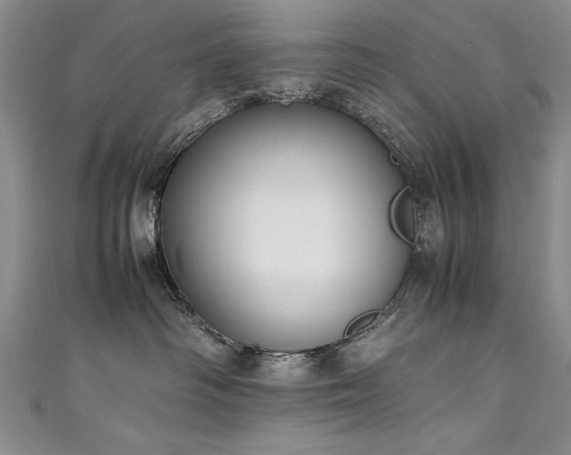X0000111430334200907131228
