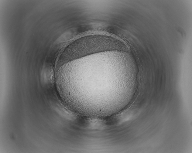 X0000111430336200907131228
