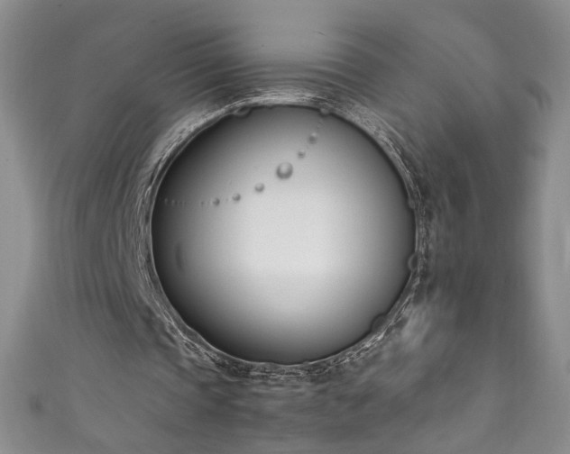 X0000111430337200907131227