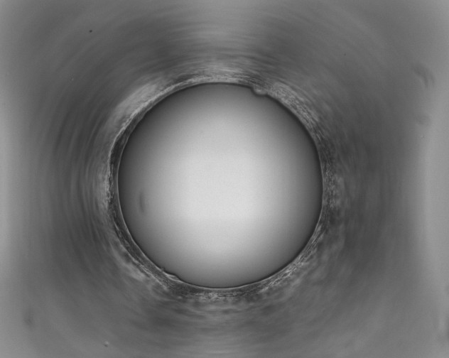 X0000111430338200907131227