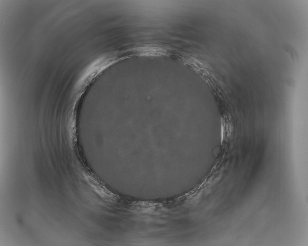 X0000111430339200907131227