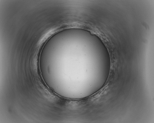 X0000111430341200907131228