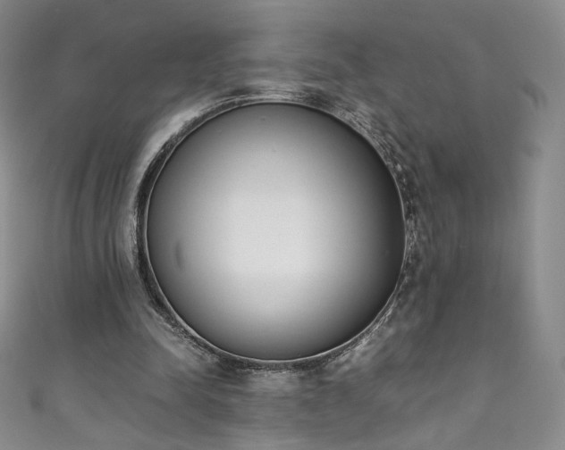 X0000111430342200907131228