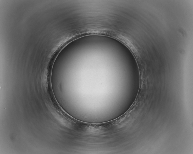 X0000111430346200907131228