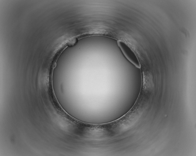 X0000111430348200907131228