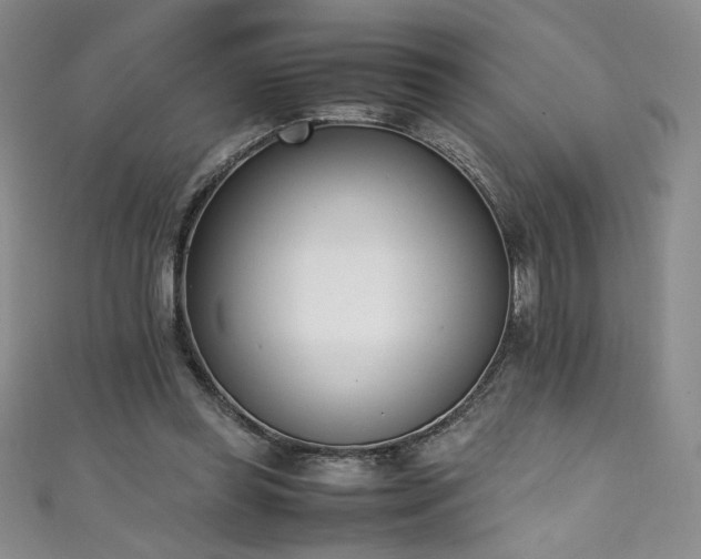 X0000111430349200907131228