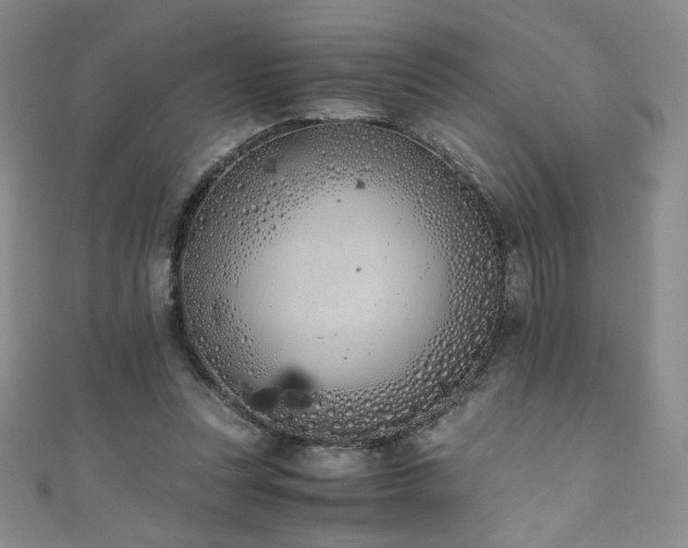 X0000111430351200907131228