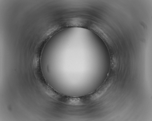 X0000111430355200907131228