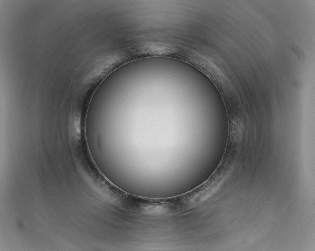 X0000111430358200907131228
